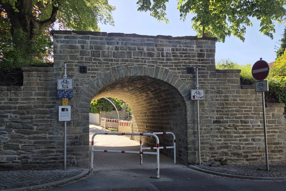 11Einweihung Freiligrathwall